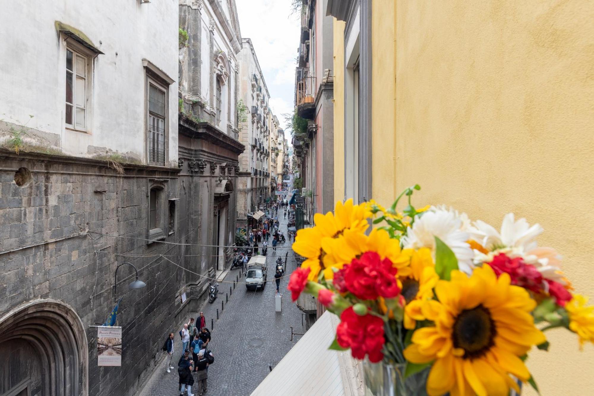Centro, Dm Naples